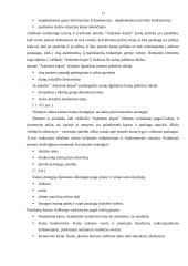 Viešbučio marketingo tyrimas: "Auksinės kopos" 13 puslapis