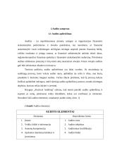 Auditas. Audito atsiradimas, organizavimas, reikšmė ir būtinumas 2 puslapis