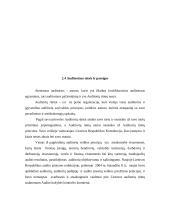 Auditas. Audito atsiradimas, organizavimas, reikšmė ir būtinumas 13 puslapis