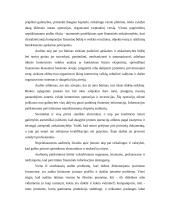 Auditas. Audito atsiradimas, organizavimas, reikšmė ir būtinumas 15 puslapis