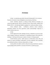 Auditas. Audito atsiradimas, organizavimas, reikšmė ir būtinumas 19 puslapis