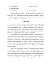 Auditas. Audito atsiradimas, organizavimas, reikšmė ir būtinumas 3 puslapis