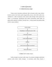 Auditas. Audito atsiradimas, organizavimas, reikšmė ir būtinumas 6 puslapis