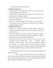 Auditas. Audito atsiradimas, organizavimas, reikšmė ir būtinumas 8 puslapis