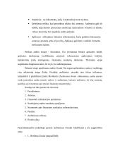 Auditas. Audito atsiradimas, organizavimas, reikšmė ir būtinumas 9 puslapis