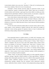 Viešbučio marketingo tyrimas: "Pajūris" 13 puslapis