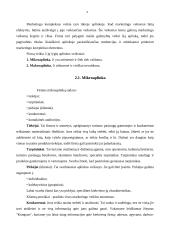 Viešbučio marketingo tyrimas: "Pajūris" 4 puslapis