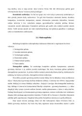 Viešbučio marketingo tyrimas: "Pajūris" 5 puslapis