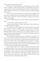 Viešbučio marketingo tyrimas: "Pajūris" 8 puslapis