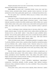 Viešbučio marketingo tyrimas: "Pajūris" 9 puslapis