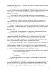 Audito atrankos vykdymas 11 puslapis