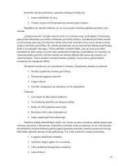 Audito atrankos vykdymas 12 puslapis