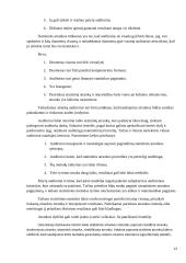 Audito atrankos vykdymas 13 puslapis