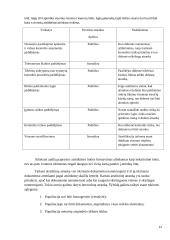 Audito atrankos vykdymas 14 puslapis