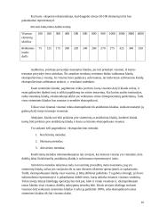 Audito atrankos vykdymas 16 puslapis