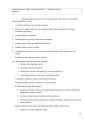 Audito atrankos vykdymas 20 puslapis