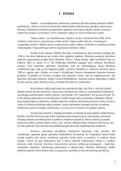 Audito atrankos vykdymas 3 puslapis