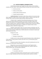 Audito atrankos vykdymas 7 puslapis