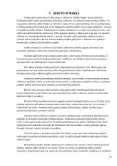 Audito atrankos vykdymas 10 puslapis