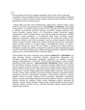 Viešosios politikos sąvokos ir struktūra 2 puslapis