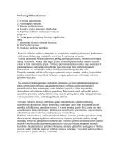 Viešosios politikos sąvokos ir struktūra 3 puslapis