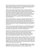 Viešosios politikos sąvokos ir struktūra 4 puslapis