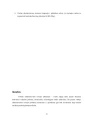 Viešojo administravimo teorijos problemų nustatymas ir sprendimas 12 puslapis