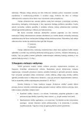 Viešojo administravimo teorijos problemų nustatymas ir sprendimas 8 puslapis