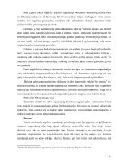 Viešojo ir ne pelno sektoriaus bendradarbiavimo pavyzdžiai 13 puslapis