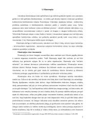 Viešojo ir ne pelno sektoriaus bendradarbiavimo pavyzdžiai 3 puslapis