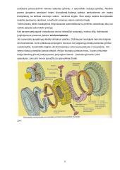 Automobilių pavarų dėžės projektavimas 6 puslapis