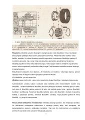 Automobilių pavarų dėžės projektavimas 7 puslapis