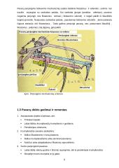 Automobilių pavarų dėžės projektavimas 8 puslapis