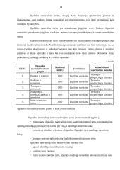 Viešosios įstaigos steigimas ir apskaitos politikos formavimas 12 puslapis