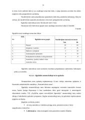 Viešosios įstaigos steigimas ir apskaitos politikos formavimas 13 puslapis