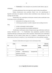 Viešosios įstaigos steigimas ir apskaitos politikos formavimas 14 puslapis