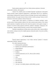 Viešosios įstaigos steigimas ir apskaitos politikos formavimas 16 puslapis