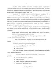 Viešosios įstaigos steigimas ir apskaitos politikos formavimas 17 puslapis