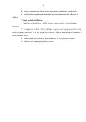 Viešosios įstaigos steigimas ir apskaitos politikos formavimas 3 puslapis