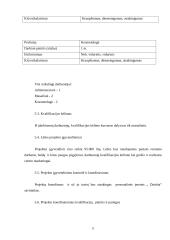 Vietinės užimtumo iniciatyvos (VUI) projektas ir jo socialinis marketingas organizuojant reklaminę kampaniją 11 puslapis