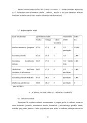 Vietinės užimtumo iniciatyvos (VUI) projektas ir jo socialinis marketingas organizuojant reklaminę kampaniją 12 puslapis