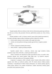 Vietinės užimtumo iniciatyvos (VUI) projektas ir jo socialinis marketingas organizuojant reklaminę kampaniją 5 puslapis