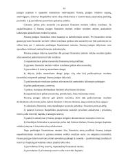 Banko kapitalas ir pelno paskirstymas 13 puslapis