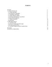 Vietinio tinklo įkūrimas namų bendrijoje 2 puslapis