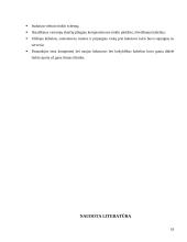 Vietinio tinklo įkūrimas namų bendrijoje 18 puslapis