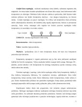 Vietinio tinklo įkūrimas namų bendrijoje 5 puslapis