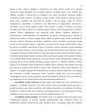 Vietinės savivaldos principai 11 puslapis