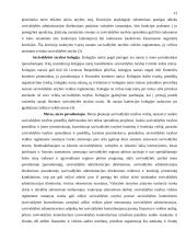 Vietinės savivaldos principai 12 puslapis