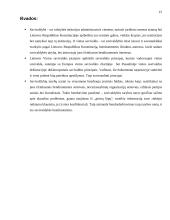 Vietinės savivaldos principai 15 puslapis