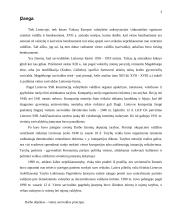 Vietinės savivaldos principai 3 puslapis